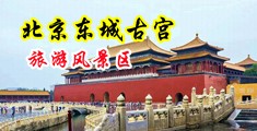 嘿嘿嘿嫩草午夜福利视频中国北京-东城古宫旅游风景区